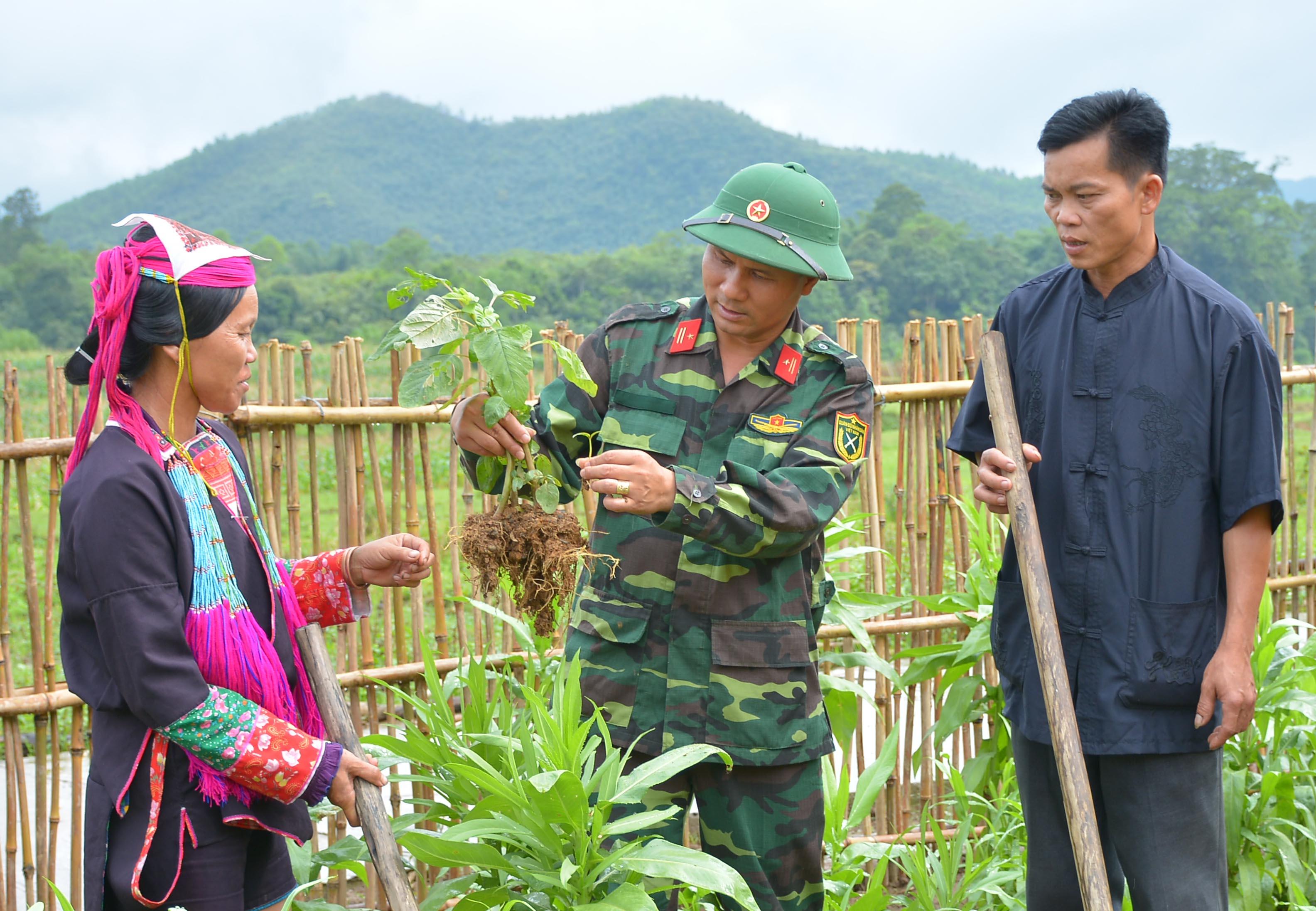 Sáng đẹp hình ảnh “đội quân công tác, đội quân lao động sản xuất”